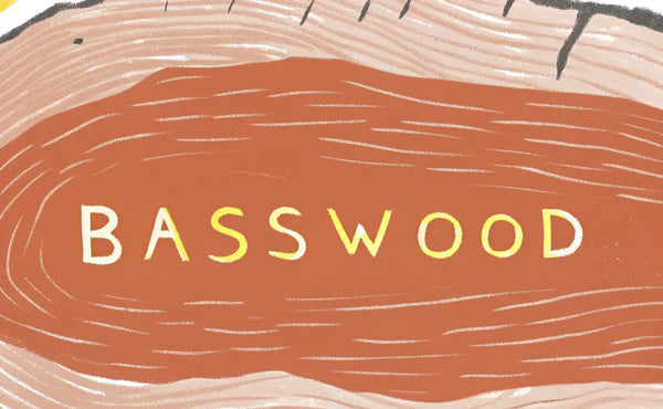 Basswood