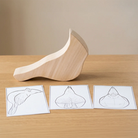Cardinal Carving Blank – Pre-Cut Basswood