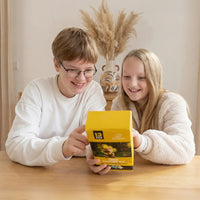 Bear Carving Kit